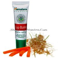 Himalaya Lip Balm