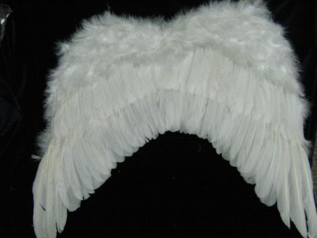 Крылья Ангела перьевые 46*46 бел.(4950)