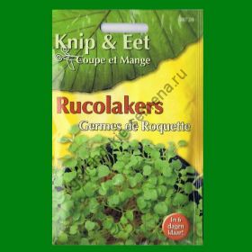 Проростки  РУККОЛА   (Rucolakers)  25 грамм