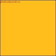 Superior Forsythia Yellow 14 2.72x11м. Фон бумажный (70)
