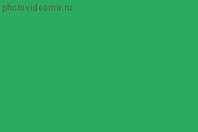 Colorama Apple Green 64 Бумажный фон 2.72х11м