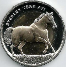 Лошадь 1 лира Турция 2014