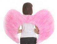 Крылья Ангела 80х60 Розовые