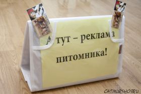 Папка для рекламы и документов