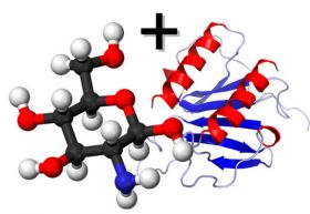Глюкозамин+хондроитин сульфат (1:1) 100г Wirud (Германия)