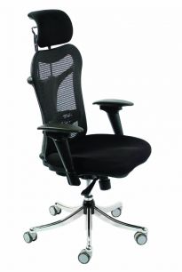 Кресло руководителя Бюрократ CH-999ASX спинка черный сиденье черный TW-11 эргономичная сетка