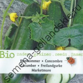 Огурец сорт "БОЛЬШЕ РЫНОЧНЫХ"(Marketmore BIO) 10 семян