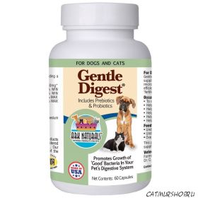 Ark Naturals Gentle Digest - Спокойное пищеварение - (60 капсул)