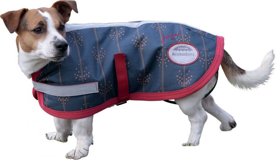 Зимняя попона (пальто) для собак "JOULES" на утеплителе 220 г/м