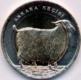 Ангорская овца 1 лира Турция 2015