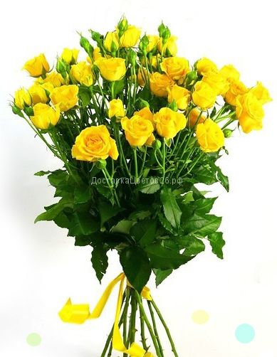 Букет из желтых мелкоцветных роз.