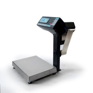 MK-R2P10-1 торговые печатающие весы-регистраторы с устройством подмотки ленты