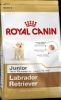 Royal Canin LABRADOR RETRIEVER JUNIOR для щенков лабладора (до 15 мес.) 12 кг.