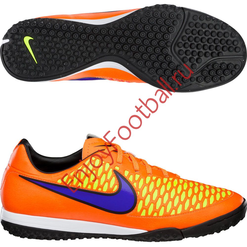 magista tf
