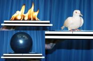 Волшебный лоток - огонь - шарик - голубь