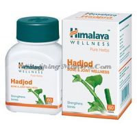Циссус (Hadjod) бады Хималая (Himalaya Hadjod)