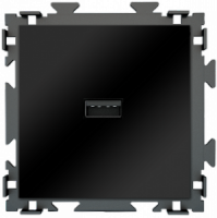 Розетка USB черная матовая CGSS "Практика" PL-W201U-BCM