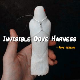 Невидимая шлейка для голубя (верёвка) Invisible Dove Harness (Rope Version)