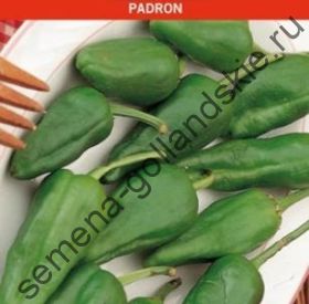 Перец "ПАДРОН" (Padron) 10 семян
