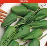 Перец "ПАДРОН" (Padron) 10 семян