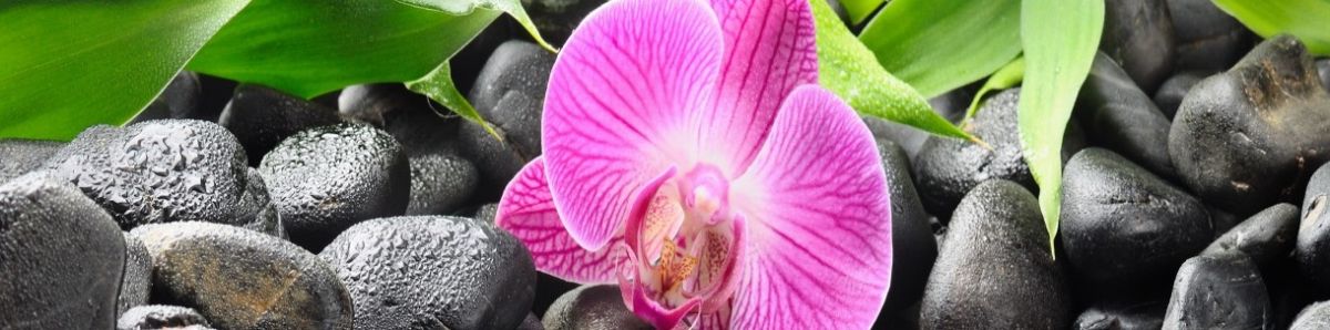 Фартук для кухни Орхидеи