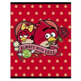 Тетрадь 48 л. кл. флок "Hatber Angry Birds" выпуск №4 (арт. 48Т5флВ1)