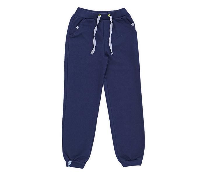 Теплые синие спортивные брюки для мальчика