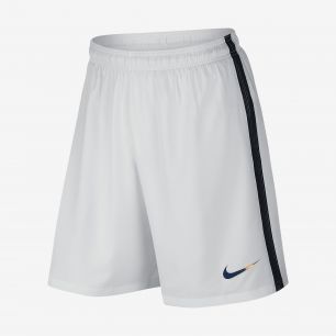 ШОРТЫ ИГРОВЫЕ NIKE PSG M HA3 STADIUM SHORT 776914-100