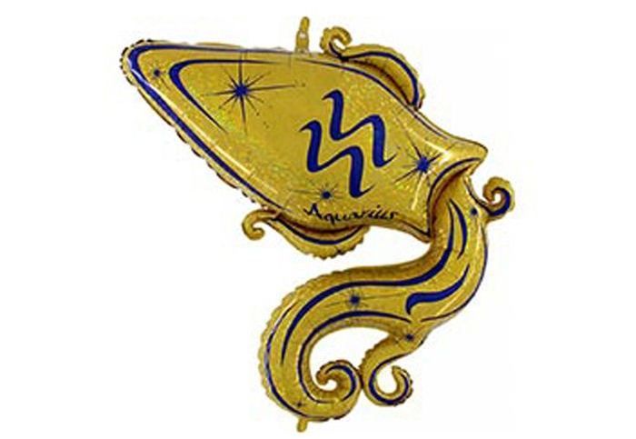 Знак Зодиака Водолей фольгированный шар с гелием