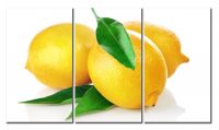 Модульная картина Лимоны