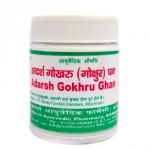 Adarsh Gokhru - Ghan 40 gr