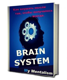 Книга: Brain System (перевод на русский язык - .pdf)