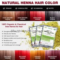 Натуральная краска на основе хны (бургунди) Аллин Экспортерс | Allin Exporters Burgundy Henna Hair Color