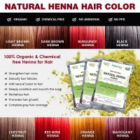 Натуральная краска на основе хны (бургунди) Аллин Экспортерс | Allin Exporters Burgundy Henna Hair Color