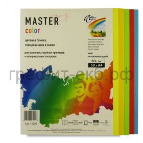 Бумага А4 50л.Master Color Mix Intensive 80г/м2 16202