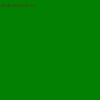 Фон бумажный FST 2,72х11 DARK GREEN 1006 зелёный
