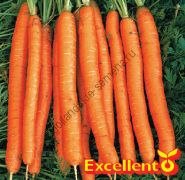 Морковь сорт "АМСТЕРДАМ БАК 2" (Amsterdamse Bak 2) 2750 семян