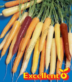 Морковь сорт "РАДУЖНЫЙ МИКС" (RAINBOW MIX)  400 семян