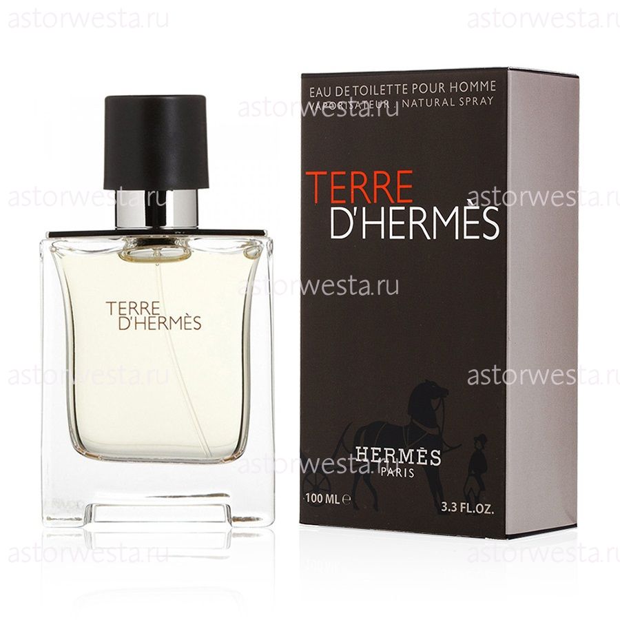Туалетная вода Hermes Terre D`Hermes, 100 мл (ПОД ЗАКАЗ)