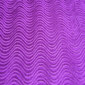 Астра Violet