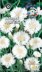 ВАСИЛЕК АДИГЕЛЬ