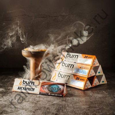 Burn 25 гр - Juicy Apricot (Сочный Абрикос)