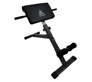 Гиперэкстензия DFC Homegym SJ1007 