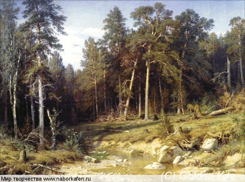 1435  Mast Pine Forest