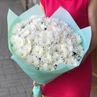Акция! 11 белых хризантем в красивой упаковке