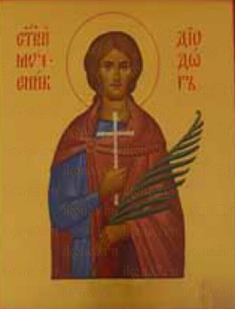 Икона Диодор Афродисийский священномученик (рукописная)