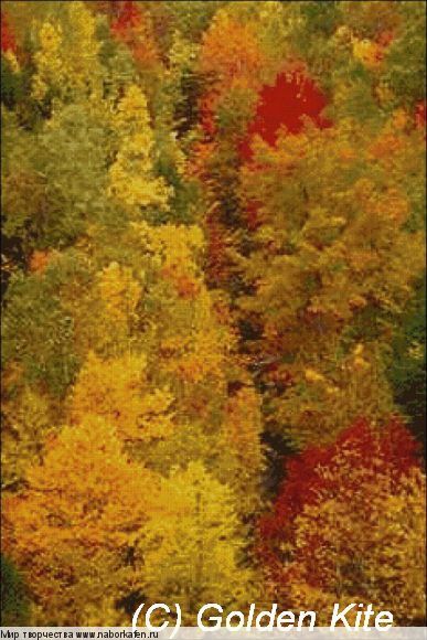 326 Fall Colors, Acadia National Park