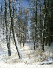 1509 Winter in Wood