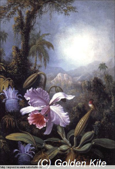 1647 Orchids, Passion Flowers and Hummingbird