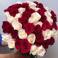51 красно-белая роза (Эквадорская)
